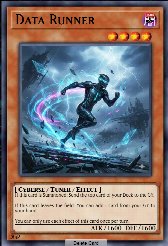 Data Runner