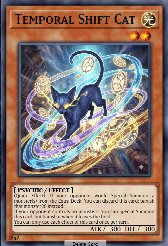 Temporal Shift Cat