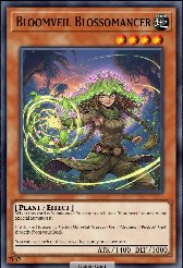 Bloomveil Blossomancer