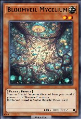 Bloomveil Mycelium