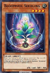Bloomveil Seedling