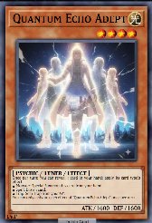 Quantum Echo Adept